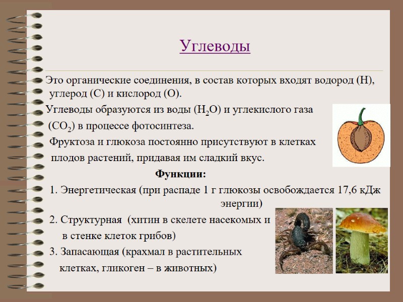 Углеводы      Это органические соединения, в состав которых входят водород